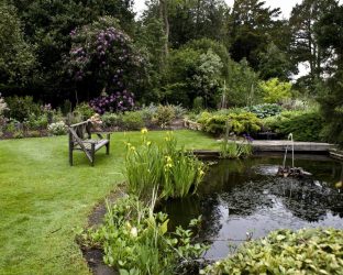 Paisagismo para o jardim faça você mesmo (mais de 185 fotos). Estilos que você deve conhecer