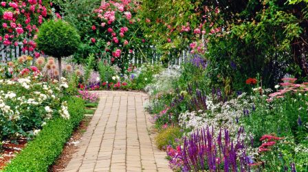 Paisagismo para o jardim faça você mesmo (mais de 185 fotos). Estilos que você deve conhecer