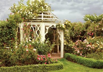 Paisagismo para o jardim faça você mesmo (mais de 185 fotos). Estilos que você deve conhecer