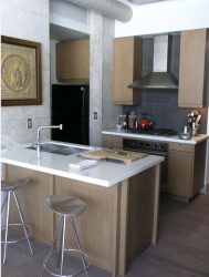 220+ fotos Novo design de cozinha 9 m2: design funcional e conciso