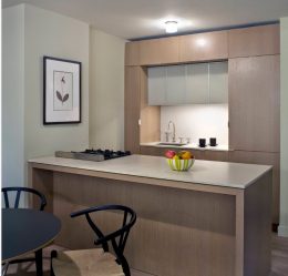 220+ fotos Novo design de cozinha 9 m2: design funcional e conciso