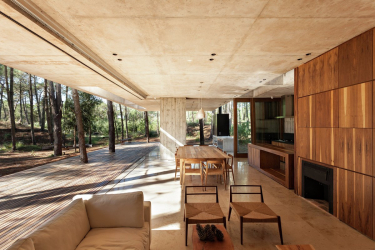 Casa na floresta: qual estilo é melhor escolher? 230+ (fotos) de solidão e conforto. E o que você vai gostar?