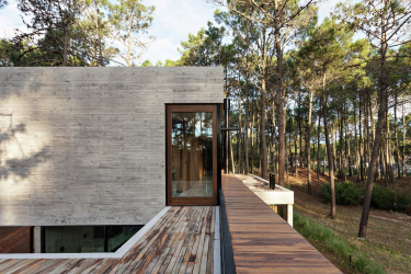 Casa na floresta: qual estilo é melhor escolher? 230+ (fotos) de solidão e conforto. E o que você vai gostar?