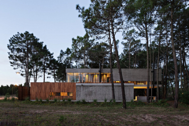 Casa na floresta: qual estilo é melhor escolher? 230+ (fotos) de solidão e conforto. E o que você vai gostar?