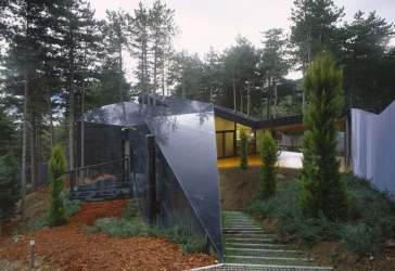 Casa na floresta: qual estilo é melhor escolher? 230+ (fotos) de solidão e conforto. E o que você vai gostar?