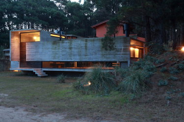 Casa na floresta: qual estilo é melhor escolher? 230+ (fotos) de solidão e conforto. E o que você vai gostar?