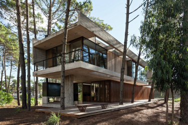 Casa na floresta: qual estilo é melhor escolher? 230+ (fotos) de solidão e conforto. E o que você vai gostar?