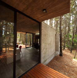 Casa na floresta: qual estilo é melhor escolher? 230+ (fotos) de solidão e conforto. E o que você vai gostar?