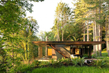 Casa na floresta: qual estilo é melhor escolher? 230+ (fotos) de solidão e conforto. E o que você vai gostar?