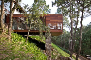 Casa na floresta: qual estilo é melhor escolher? 230+ (fotos) de solidão e conforto. E o que você vai gostar?