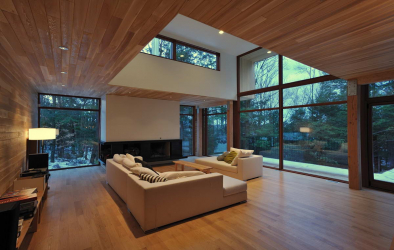 Casa na floresta: qual estilo é melhor escolher? 230+ (fotos) de solidão e conforto. E o que você vai gostar?