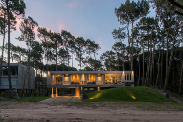 Casa na floresta: qual estilo é melhor escolher? 230+ (fotos) de solidão e conforto. E o que você vai gostar?