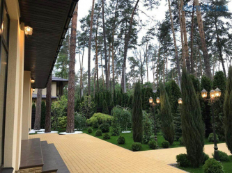 Casa na floresta: qual estilo é melhor escolher? 230+ (fotos) de solidão e conforto. E o que você vai gostar?