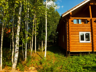 Casa na floresta: qual estilo é melhor escolher? 230+ (fotos) de solidão e conforto. E o que você vai gostar?