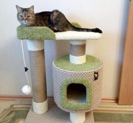 Como fazer uma casa para um gato com suas próprias mãos passo a passo? 150+ (foto) de madeira, papelão, caixas, com um raspador