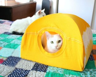 Como fazer uma casa para um gato com suas próprias mãos passo a passo? 150+ (foto) de madeira, papelão, caixas, com um raspador