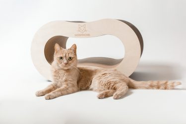 Como fazer uma casa para um gato com suas próprias mãos passo a passo? 150+ (foto) de madeira, papelão, caixas, com um raspador