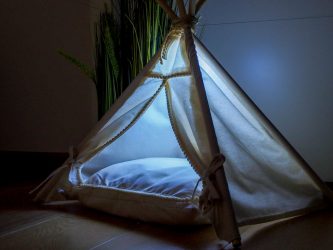 Como fazer uma casa para um gato com suas próprias mãos passo a passo? 150+ (foto) de madeira, papelão, caixas, com um raspador