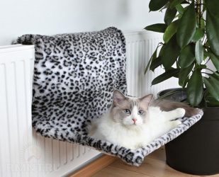 Como fazer uma casa para um gato com suas próprias mãos passo a passo? 150+ (foto) de madeira, papelão, caixas, com um raspador