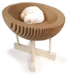 Como fazer uma casa para um gato com suas próprias mãos passo a passo? 150+ (foto) de madeira, papelão, caixas, com um raspador