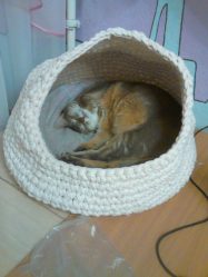 Como fazer uma casa para um gato com suas próprias mãos passo a passo? 150+ (foto) de madeira, papelão, caixas, com um raspador