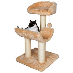 Como fazer uma casa para um gato com suas próprias mãos passo a passo? 150+ (foto) de madeira, papelão, caixas, com um raspador
