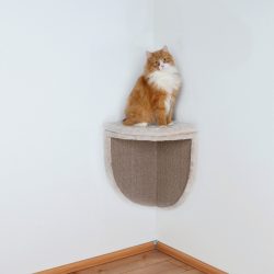 Como fazer uma casa para um gato com suas próprias mãos passo a passo? 150+ (foto) de madeira, papelão, caixas, com um raspador