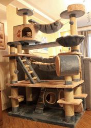 Como fazer uma casa para um gato com suas próprias mãos passo a passo? 150+ (foto) de madeira, papelão, caixas, com um raspador