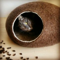 Como fazer uma casa para um gato com suas próprias mãos passo a passo? 150+ (foto) de madeira, papelão, caixas, com um raspador
