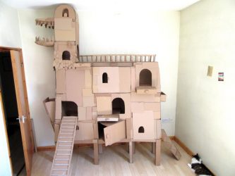 Como fazer uma casa para um gato com suas próprias mãos passo a passo? 150+ (foto) de madeira, papelão, caixas, com um raspador