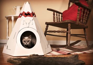 Como fazer uma casa para um gato com suas próprias mãos passo a passo? 150+ (foto) de madeira, papelão, caixas, com um raspador