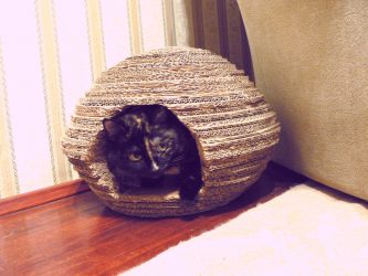 Como fazer uma casa para um gato com suas próprias mãos passo a passo? 150+ (foto) de madeira, papelão, caixas, com um raspador