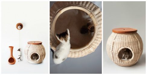 Como fazer uma casa para um gato com suas próprias mãos passo a passo? 150+ (foto) de madeira, papelão, caixas, com um raspador