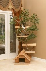 Como fazer uma casa para um gato com suas próprias mãos passo a passo? 150+ (foto) de madeira, papelão, caixas, com um raspador