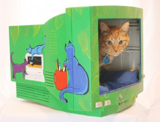 Como fazer uma casa para um gato com suas próprias mãos passo a passo? 150+ (foto) de madeira, papelão, caixas, com um raspador