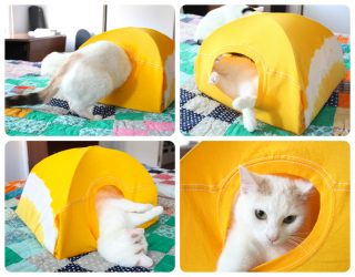 Como fazer uma casa para um gato com suas próprias mãos passo a passo? 150+ (foto) de madeira, papelão, caixas, com um raspador