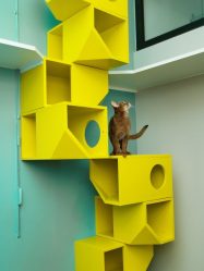 Como fazer uma casa para um gato com suas próprias mãos passo a passo? 150+ (foto) de madeira, papelão, caixas, com um raspador