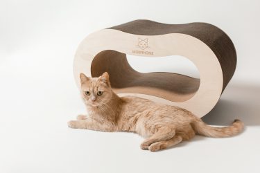 Como fazer uma casa para um gato com suas próprias mãos passo a passo? 150+ (foto) de madeira, papelão, caixas, com um raspador