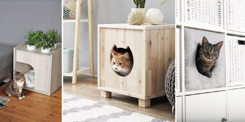 Como fazer uma casa para um gato com suas próprias mãos passo a passo? 150+ (foto) de madeira, papelão, caixas, com um raspador