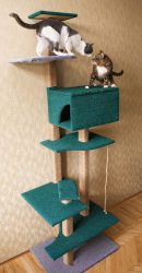 Como fazer uma casa para um gato com suas próprias mãos passo a passo? 150+ (foto) de madeira, papelão, caixas, com um raspador