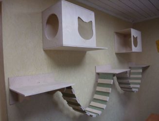 Como fazer uma casa para um gato com suas próprias mãos passo a passo? 150+ (foto) de madeira, papelão, caixas, com um raspador