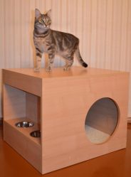 Como fazer uma casa para um gato com suas próprias mãos passo a passo? 150+ (foto) de madeira, papelão, caixas, com um raspador