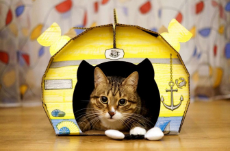 How to make a house for a cat with your own hands step by step? 150+ (photo) of wood, cardboard, boxes, with a scraper