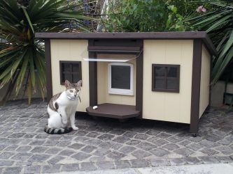 Como fazer uma casa para um gato com suas próprias mãos passo a passo? 150+ (foto) de madeira, papelão, caixas, com um raspador