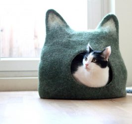 Como fazer uma casa para um gato com suas próprias mãos passo a passo? 150+ (foto) de madeira, papelão, caixas, com um raspador