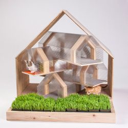 Como fazer uma casa para um gato com suas próprias mãos passo a passo? 150+ (foto) de madeira, papelão, caixas, com um raspador