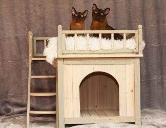 Como fazer uma casa para um gato com suas próprias mãos passo a passo? 150+ (foto) de madeira, papelão, caixas, com um raspador