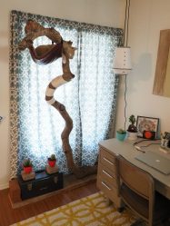 Como fazer uma casa para um gato com suas próprias mãos passo a passo? 150+ (foto) de madeira, papelão, caixas, com um raspador