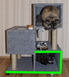 Como fazer uma casa para um gato com suas próprias mãos passo a passo? 150+ (foto) de madeira, papelão, caixas, com um raspador
