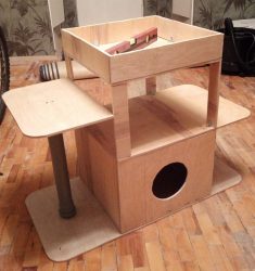 Como fazer uma casa para um gato com suas próprias mãos passo a passo? 150+ (foto) de madeira, papelão, caixas, com um raspador